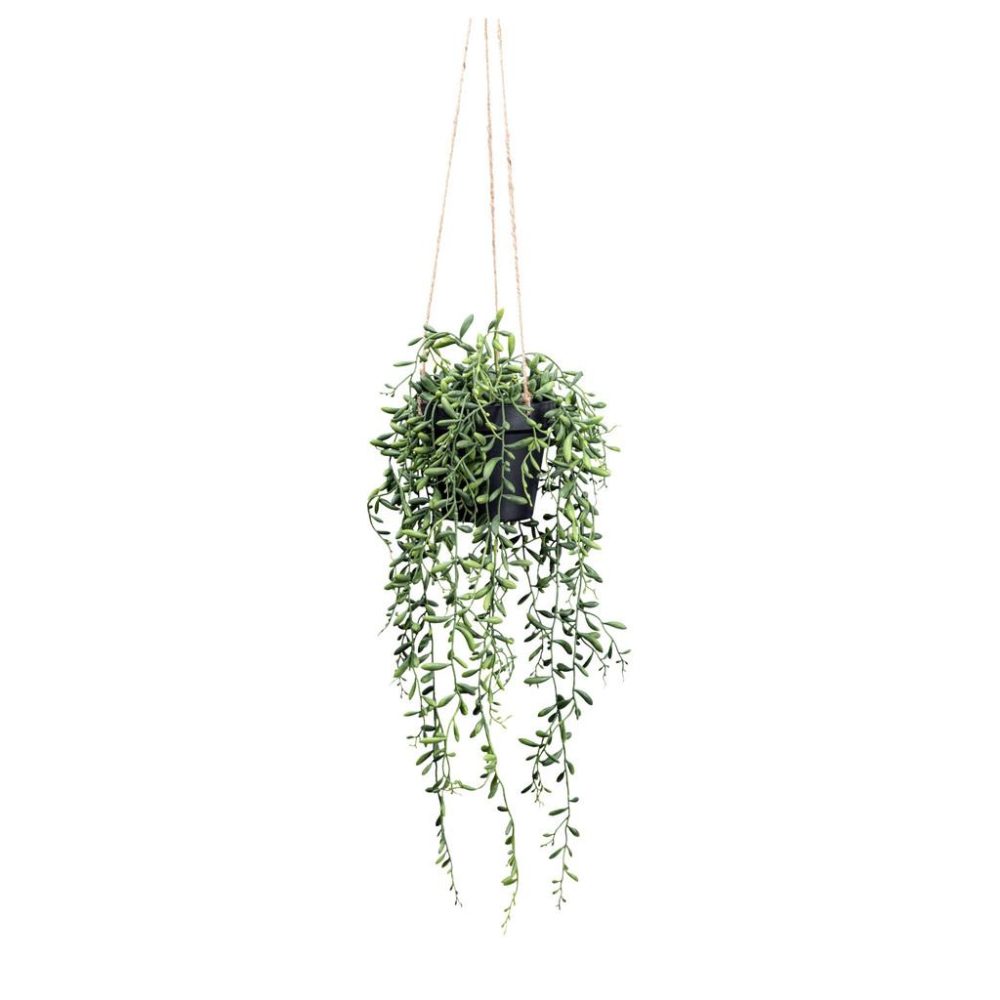 Kunstpflanze Senecio Herreianus Ii In Grün 55 cm 