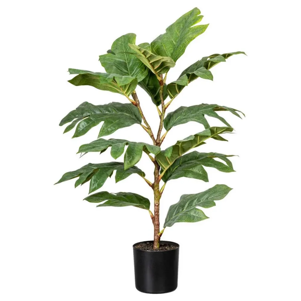 Kunstpflanze Artocarpus I In Grün Federgras 70 cm 