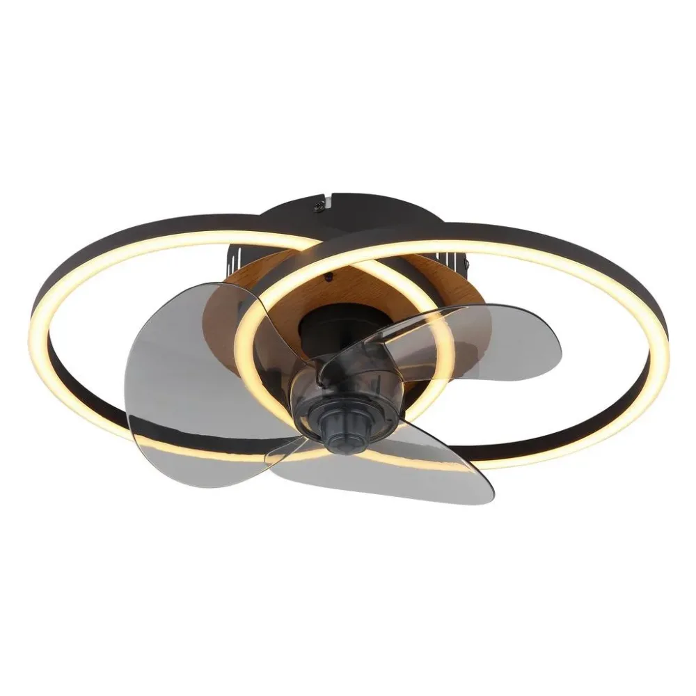Deckenventilator 03661