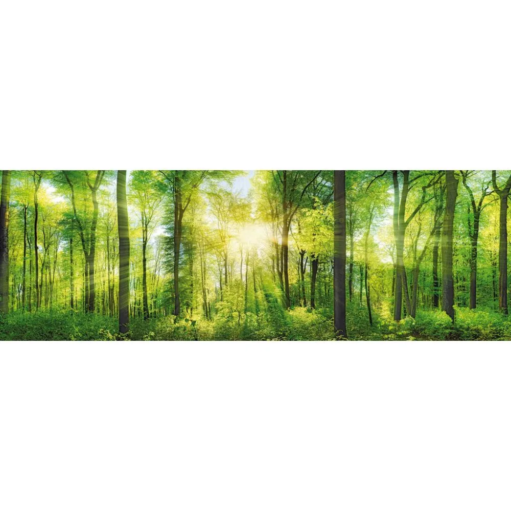 Keilrahmenbild Marcus Waldgrün Ca. 150x50cm 150 cm/50 cm/3 cm cm 
