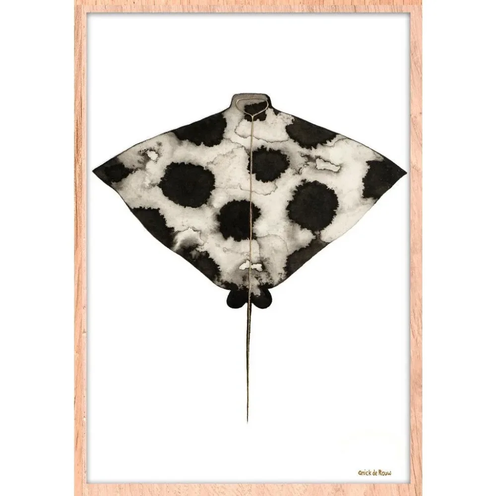 Bild Stl-De-Rouw-006-50x70-Frx-Frbl 