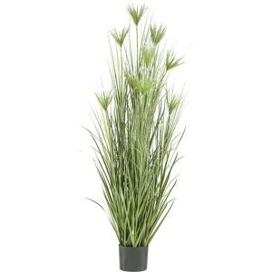 Gasper Kunstpflanzen Cyperus Gras im Kunsstofftopf H: 210 cm  | Schubiger Möbel
