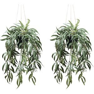 kaiserkraft Künstliche Pflanze Eukalyptus globolus mit Fruchtstand, 2er-Set, Kunststofftopf, Höhe 650 mm