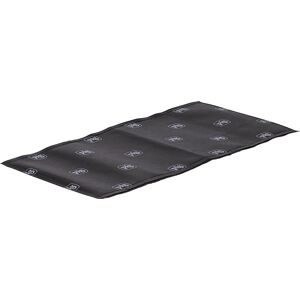 Hochwassersack, wasseraktiviert, LxBxH 610 x 300 x 6,4 mm, VE 40 Stk PIG