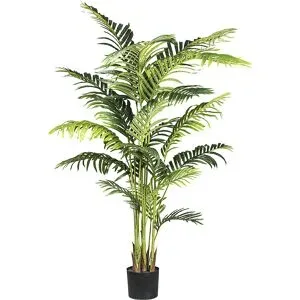 Gasper Kunstpflanze Kentiapalme H: 160 cm  | Schubiger Möbel