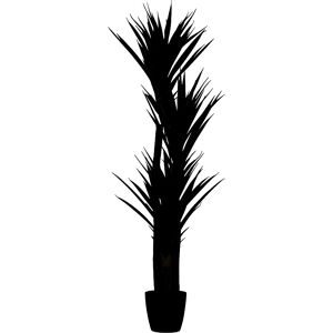 kaiserkraft Yucca, Behältnis-Ø 180 mm, Höhe 1500 mm