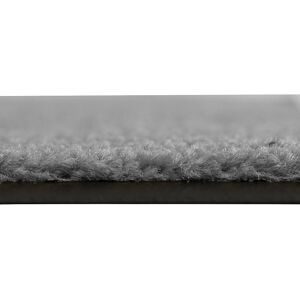 Schmutzfangmatte für innen, LxB 1500 x 900 mm, hellgrau eurokraft basic