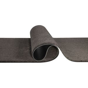 Schmutzfangmatte EAZYCARE RUSH, Breite 1350 mm, Länge pro lfd. m, aschgrau Miltex