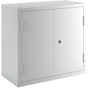 Werkstatt-Hängeschrank, HxBxT 600 x 650 x 320 mm, Vollblechtüren, lichtgrau RAL 7035 eurokraft basic