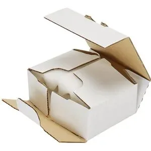 Schaumbox, mit Steckverschluss, Innenmaße 255 x 148 x 52 mm, weiß, ab 10 Stk ratioform flow