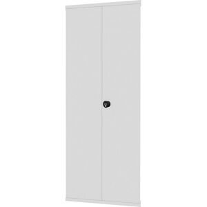 Flügeltür, Drehriegel, HxB 2500 x 1300 mm, verzinkt eurokraft pro