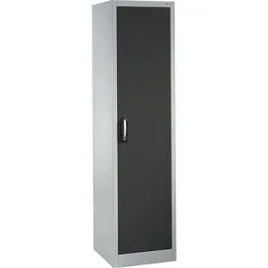 ACURADO Universalschrank, BxT 500 x 500 mm, lichtgrau / vulkangrau C+P