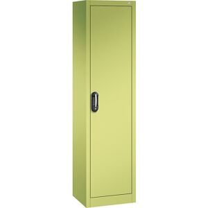 ACURADO Universalschrank, BxT 500 x 400 mm, viridingrün / viridingrün C+P