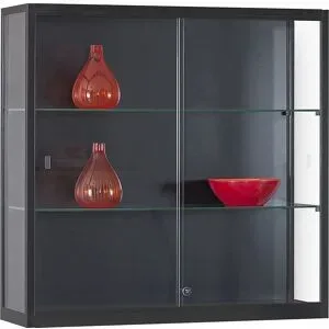 kaiserkraft Wandvitrine, Breite 1000 mm, ohne Beleuchtung, HxT 984 x 300 mm, schwarz