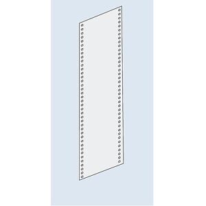 Seitenwand-Verkleidung, Vollblech, Höhe 2500 mm, für Tiefe 800 mm, lichtgrau eurokraft pro