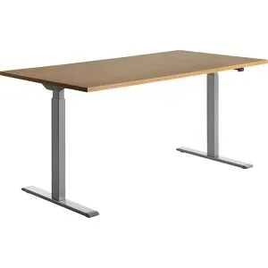 Schreibtisch, elektrisch höhenverstellbar, gerade, BxT 1600 x 800 mm, Buche/grau Topstar