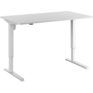 Schreibtisch Venla, elektrisch höhenverstellbar, gerade, BxT 1400 x 800 mm, lichtgrau/weiß eurokraft basic