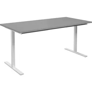 kaiserkraft Mehrzwecktisch DUO-T, gerade Platte, HxT 740 x 800 mm, Breite 1600 mm, lichtgrau, weiß