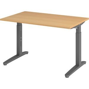 ANNY - Schreibtisch mit C-Fußgestell, höhenverstellbar 650 - 850 mm, Breite 1200 mm, Buche / graphit eurokraft pro