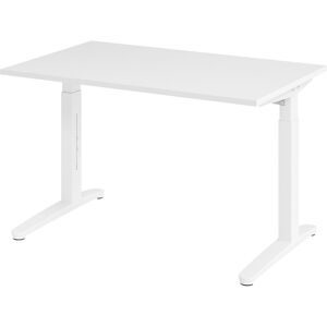 ANNY - Schreibtisch mit C-Fußgestell, höhenverstellbar 650 - 850 mm, Breite 1200 mm, weiß / weiß eurokraft pro