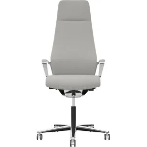 Bürostuhl Signo 0185 ZÜCO Premium F Leder, Polster-Rückenlehne, platingrau Züco