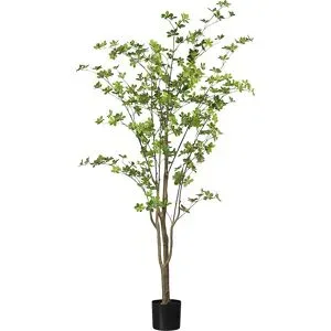 Gasper Kunstpflanze Louisiana-Baum im Kunststofftopf, Grün H: 180 cm  | Schubiger Möbel