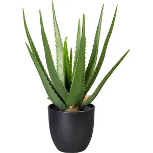 Gasper Kunstpflanze Aloe im Kunstofftopf, Grün H: 47 cm  | Schubiger Möbel