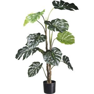 kaiserkraft Splitphilodendron, Kunststofftopf, Höhe 1400 mm