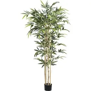 kaiserkraft Bambus mit Naturstamm, Kunststofftopf, Höhe 1500 mm