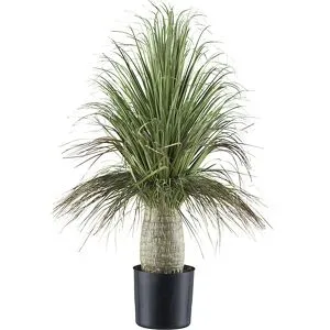 kaiserkraft Künstliche Pflanze Beaucarnea, Kunststofftopf, Höhe 600 mm
