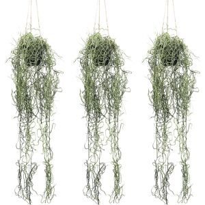 kaiserkraft Künstliche Pflanze Tillandsia-Hänger, Hängetopf, VE 3 Stk, Höhe 800 mm