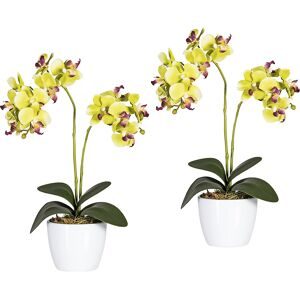 kaiserkraft Phalaenopsis im weißen Keramiktopf, Höhe 500 mm, VE 2 Stk, Blüten grün