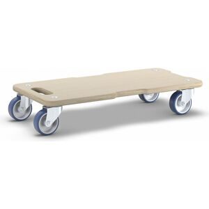 Wagner Transporthilfe | 59 × 29 cm | max. 250 kg