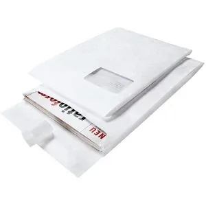 kaiserkraft Faltentasche Tyvek®, reißfest, wasserfest, VE 100 Stk, LxBxH 250 x 353 x 38 mm, ab 5 VE