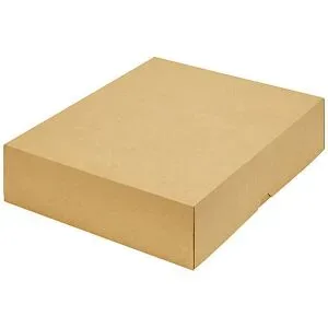 Stülpdeckelkarton, zweiteilig, Innenmaße 355 x 275 x 80 mm, B4, braun, ab 200 Stk ratioform terra