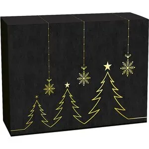 Flaschen-Geschenkkarton Tannengold, VE 25 Stk, Innenmaße 360 x 260 x 93 mm, ab 5 VE ratioform