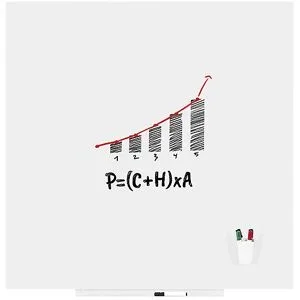 kaiserkraft Whiteboard Skincolor, BASIC-Version - Stahlblech, lackiert, BxH 1290 x 1290 mm, weiß