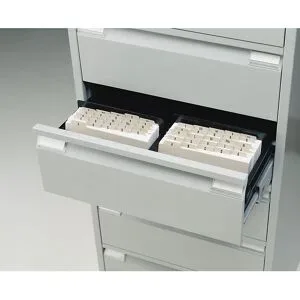 Karteistütze, VE 10 Stk, für Karteischrank A6, 2-bahnig, schwarz BISLEY
