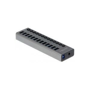 Delock USB-Hub 63738 USB 3.0 - 13x Type-A