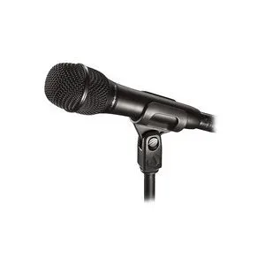 Audio-Technica AT2010, Mikrofon