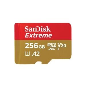 SANDISK Extreme microSD Card 256GB Speicherkarte – Speicherkarte/SD Karte/MicroSD Karte