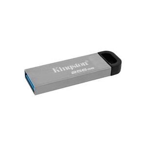 Kingston USB-Stick 