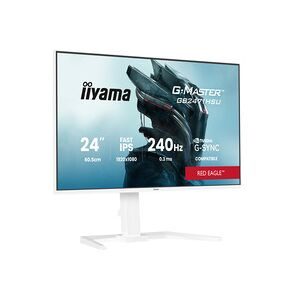 Iiyama G-MASTER Gaming Monitor EEK E (A - G) 60.5 cm (23.8 Zoll) 1920 x 1080 Pixel 16:9 0.3 ms DisplayPort IPS LCD
