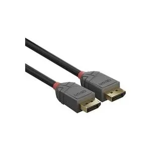 Lindy Anthra Line - DisplayPort-Kabel - DisplayPort (M) - zu DisplayPort (M) - D