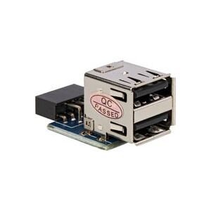 Delock USB 2.0 Adapter, 9 Pin Header > 2x USB-A Buchse