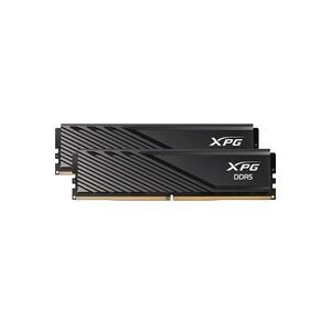 ADATA DIMM 32 GB DDR5-6000 (2x 16 GB) Dual-Kit, Arbeitsspeicher
