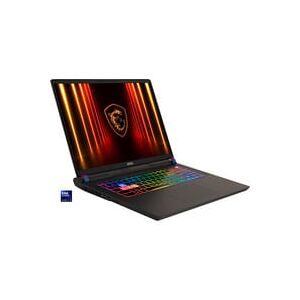 MSI Gaming Notebook Vector 17 HX AI A2XWHG-041 43.2 cm (17 Zoll) WQXGA Intel® Core? Ultra 9 275HX 32 GB RAM 2 TB SSD