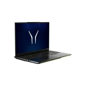 Medion ERAZER Beast 16 X15 Ultimate (MD600070), Gaming-Notebook