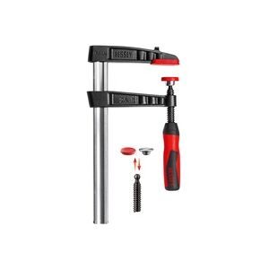 Temperguss-Schraubzwinge TG-2K Spann-W.250mm A.120mm 2K-Griff 29x9mm BESSEY