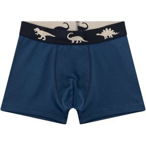 Sanetta 2er-Pack Boxershorts gruen   blau